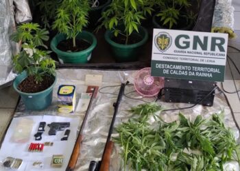 GNR da Benedita deteve três homens e apreendeu cocaína, haxixe, cannabis e armas de fogo