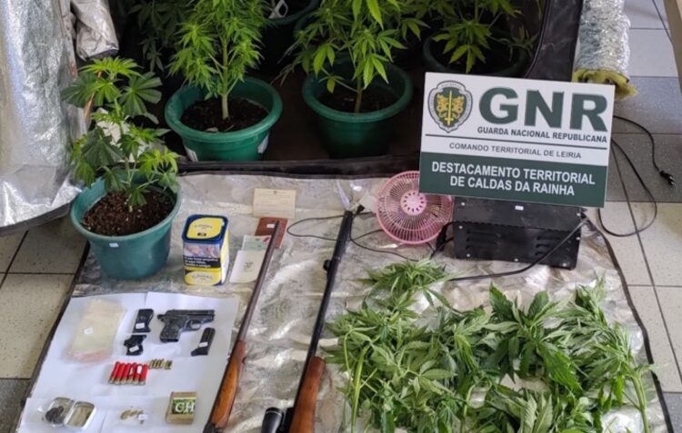 GNR da Benedita deteve três homens e apreendeu cocaína, haxixe, cannabis e armas de fogo