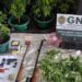 GNR da Benedita deteve três homens e apreendeu cocaína, haxixe, cannabis e armas de fogo