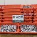 GNR apreende mais de 600 quilos de pescada de tamanho abaixo do legal em Alcobaça