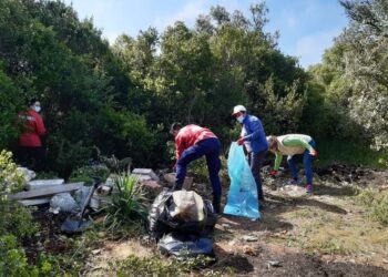 Ansião removeu três toneladas de lixo das ruas e dos espaços verdes das freguesias
