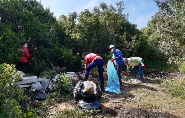 Ansião removeu três toneladas de lixo das ruas e dos espaços verdes das freguesias