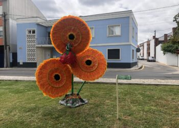 Marinha Grande celebra “Dia Mundial das Bicicletas”