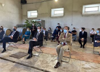 Suinicultores vão ter apoio do Governo para criarem infra-estruturas de tratamento de efluentes