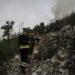 Distrito de Leiria em risco elevado de incêndio