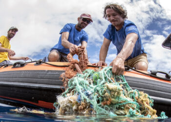 Fotógrafo Nuno Vasco Rodrigues premiado pela Ocean Geographic Society