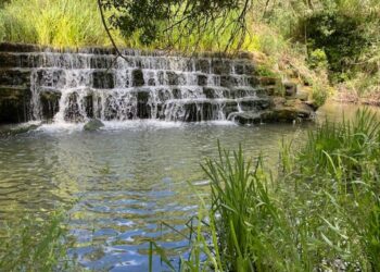 Pecuária poderá dar lugar a parque verde junto ao Lena, na Batalha