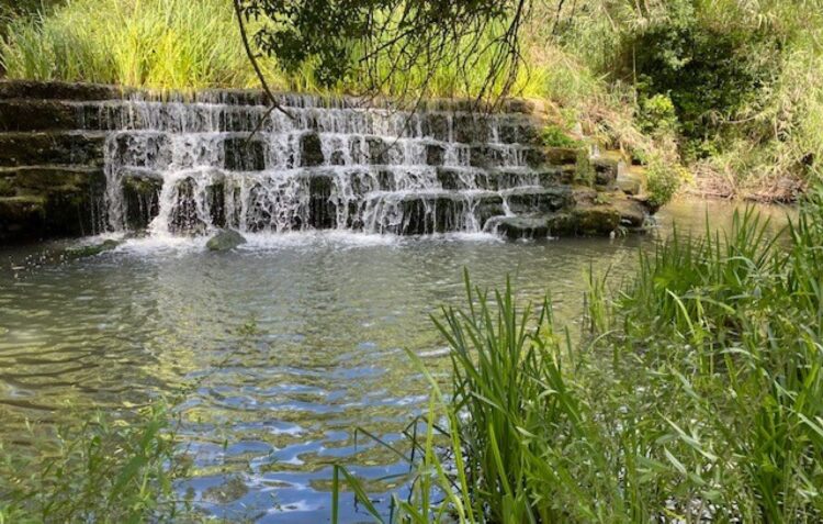 Pecuária poderá dar lugar a parque verde junto ao Lena, na Batalha