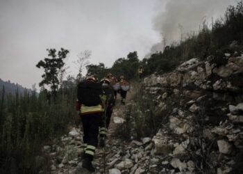 Instituto da atmosfera coloca distrito de Leiria em risco elevado de incêndio