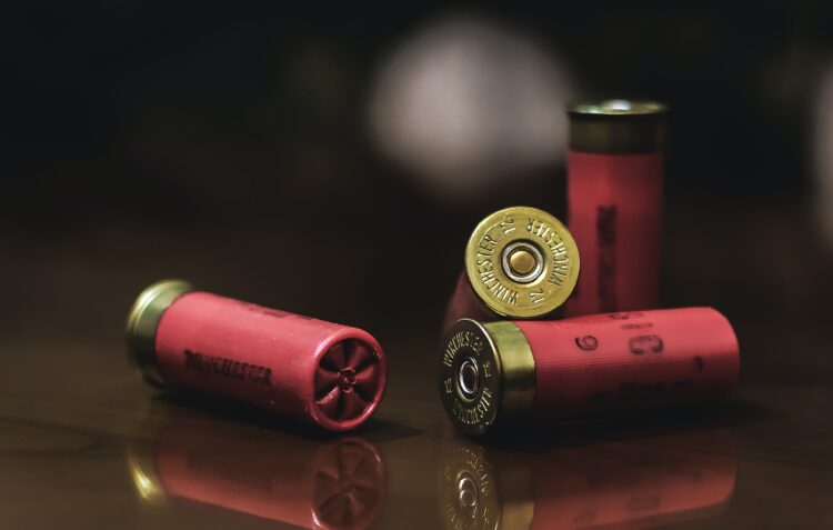 PSP alerta para final do prazo para fazer prova de cofre para armas de fogo