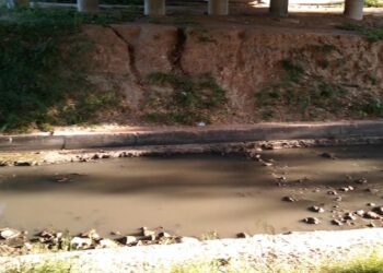 Colector faz descarga e deixa rio Lis de negro junto ao estádio