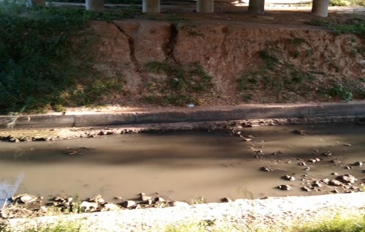 Colector faz descarga e deixa rio Lis de negro junto ao estádio