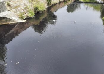 Descarga na Batalha matou peixes e deixou rio Lena negro