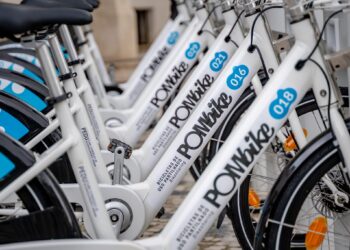 Nuno Martinho, Alexis Carrasqueira e João Jesus reclamam reconhecimento pela PomBike