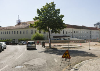 Nova rotunda alterada para manter árvore nos Capuchos, em Leiria