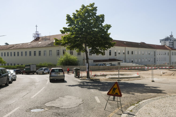 Nova rotunda alterada para manter árvore nos Capuchos, em Leiria