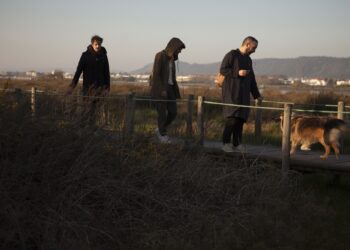 Festival A Porta: Braima Galissá, Sensible Soccers e Pedro Neves no encontro que volta a festejar a comunidade