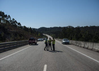 Infraestruturas de Portugal reforça segurança no IC8 no norte do distrito de Leiria
