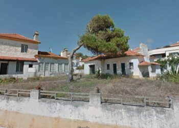 Pinheiro da Casa do Pinheiro Manso foi removido por questões de segurança