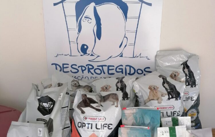 Desprotegidos lança angariação de fundos para ajudar a cuidar de animais abandonados