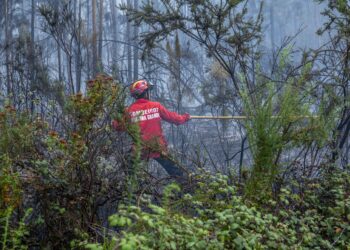 Aumento de risco de incêndio nas próximas 48 horas