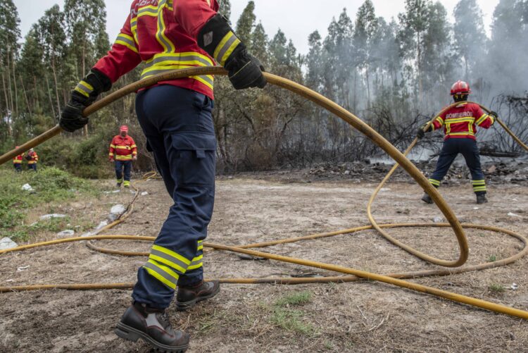 Fogo na União de Freguesias de Colmeias e Memória em fase de resolução