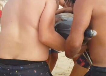 No Pedrógão, pescadores e banhistas encaminharam golfinhos para o mar, mas um não resistiu