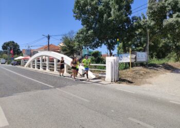 João Paulo Félix correu 2222 quilómetros pelos Direitos das Crianças