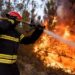 Alvaiázere e Figueiró dos Vinhos em risco máximo de incêndio