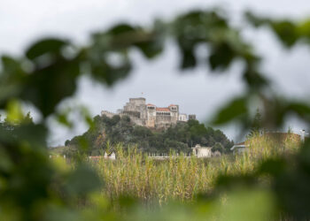 Covid-19: Leiria regista mais um óbito