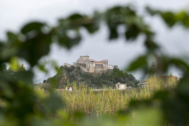 Covid-19: Leiria regista mais um óbito