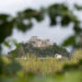 Covid-19: Leiria regista mais um óbito