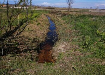 Linhas de água urbanas desobstruídas na Marinha Grande