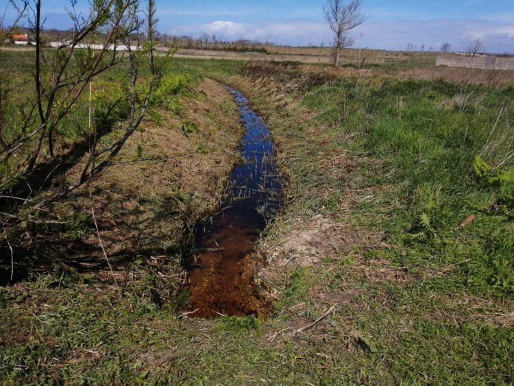 Linhas de água urbanas desobstruídas na Marinha Grande
