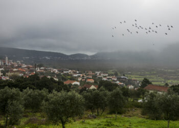 A piação do Ninhou, o laínte da Casconha e a gíria dos porqueiros
