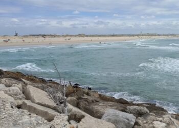 Transposição de areias na Figueira da Foz para sul vai ser apresentada em Setembro