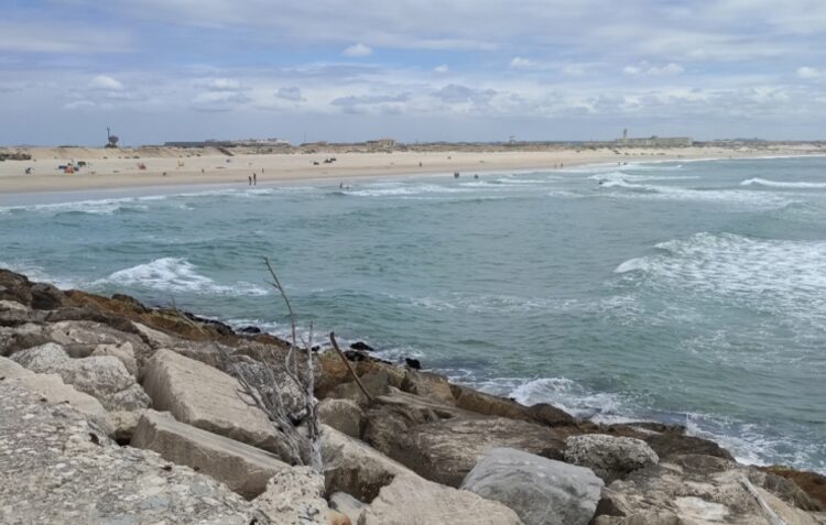 Transposição de areias na Figueira da Foz para sul vai ser apresentada em Setembro