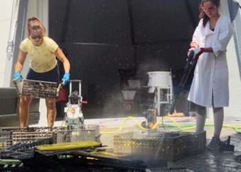Politécnico de Leiria imprime produtos verdes em 3D a partir de plástico recolhido do mar