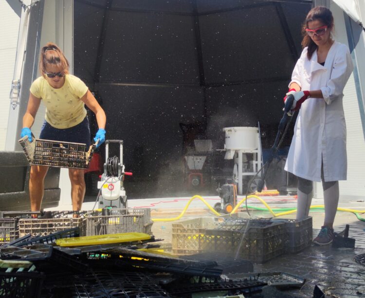 Politécnico de Leiria imprime produtos verdes em 3D a partir de plástico recolhido do mar