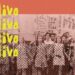 Associação Collippo celebra Dia da Juventude com biblioteca viva