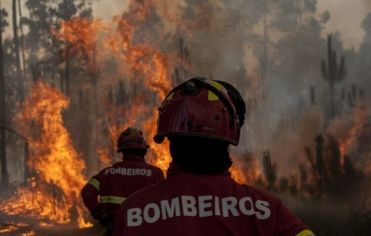 Incêndio em Olho Marinho na fase de rescaldo (actualizada)