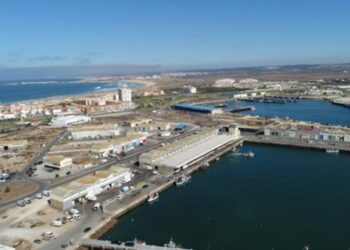 Docapesca requalifica lota de Peniche com vista à certificação de qualidade e melhoria da informação ao consumidor