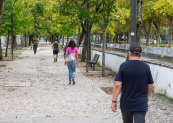 Covid-19: casos activos caíram para metade desde o início do mês