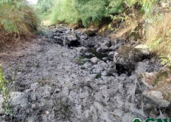 GNR detecta descarga ilegal de hidrocarbonetos em Ansião