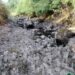 GNR detecta descarga ilegal de hidrocarbonetos em Ansião