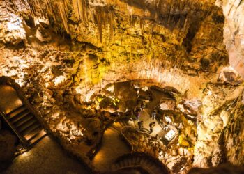 Grutas de Mira de Aire acolhem comemorações do Dia da Ecologia
