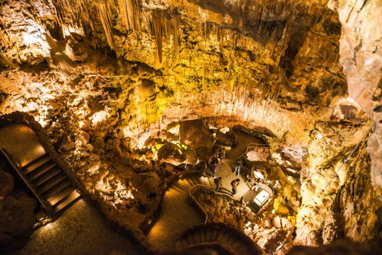 Grutas de Mira de Aire acolhem comemorações do Dia da Ecologia