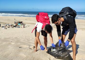 Voluntários limpam areal na Praia do Pedrógão