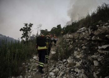 Leiria entre os 14 distritos de risco elevado de incêndio
