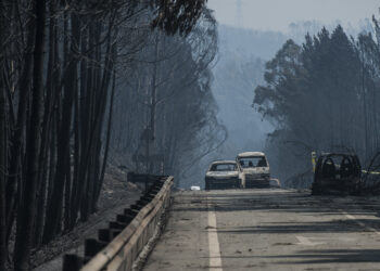 Comissão técnica admite que limpeza das faixas de gestão faria pouca diferença no incêndio de Pedrógão Grande